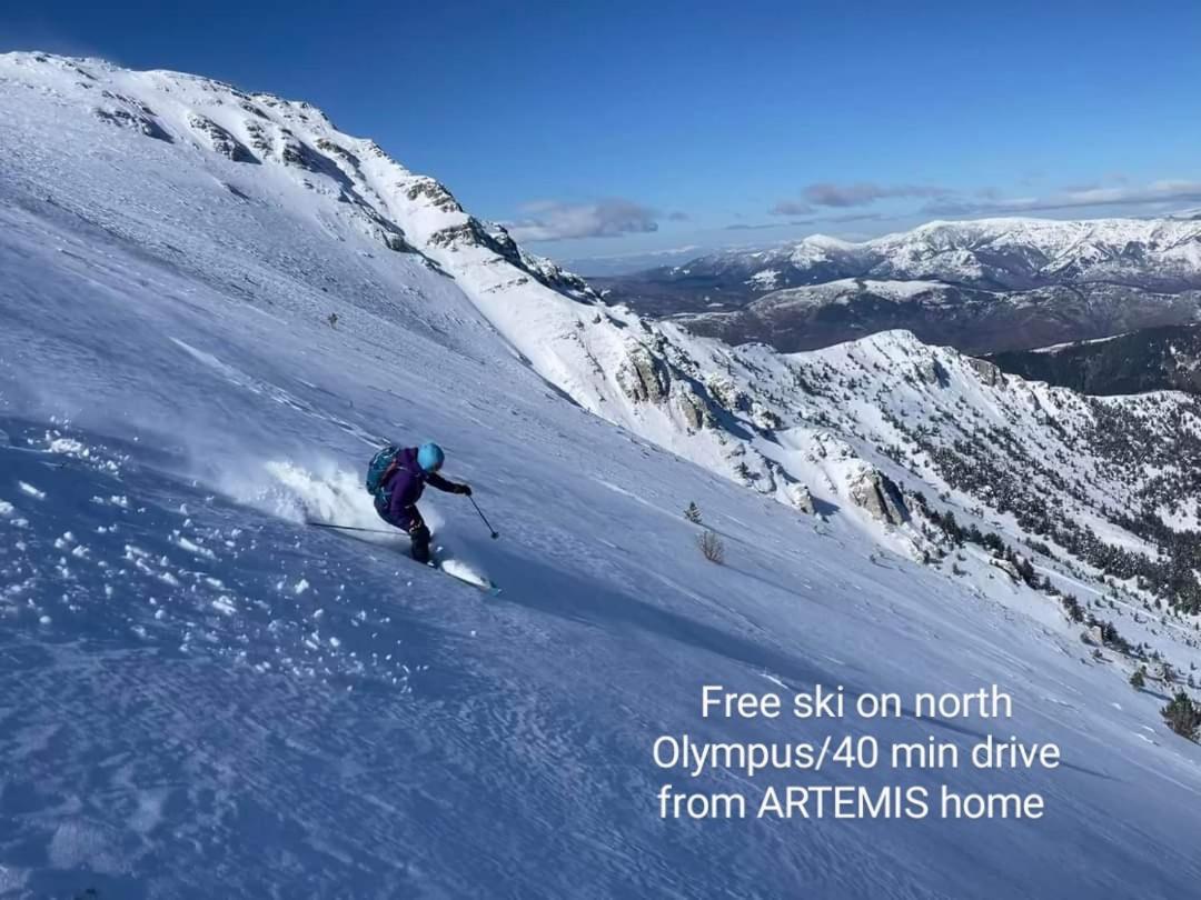 Artemis Home Pétra Екстериор снимка